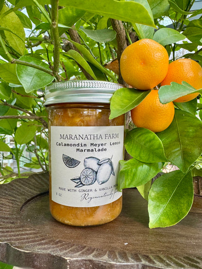 Calamondin-Meyer Lemon Marmalade with Ginger & Vanilla Bean