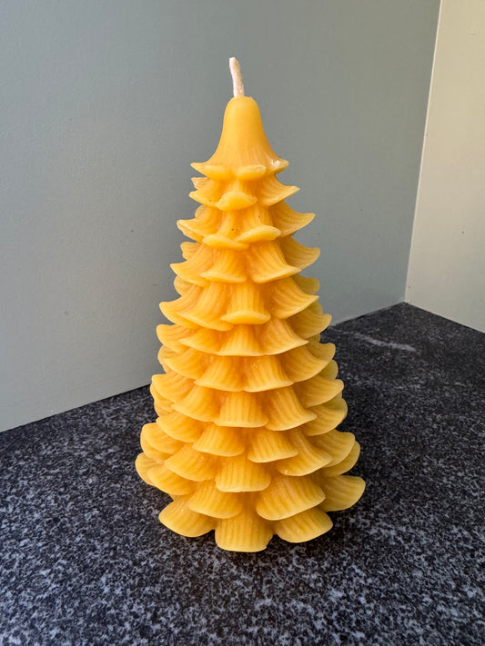 Beeswax Tree Candle