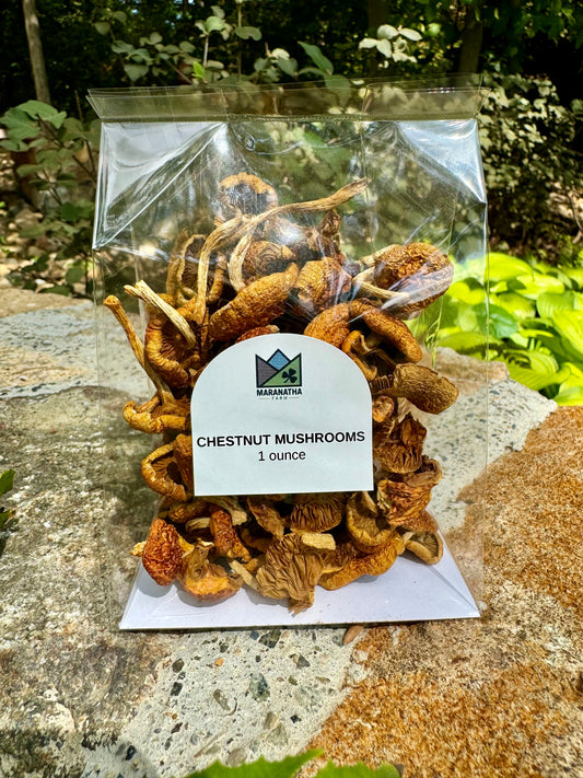 Chestnut Mushrooms Dried