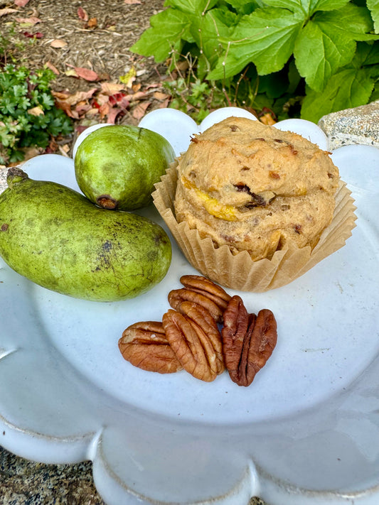 Gluten Free Paw Paw Date Pecan Muffin