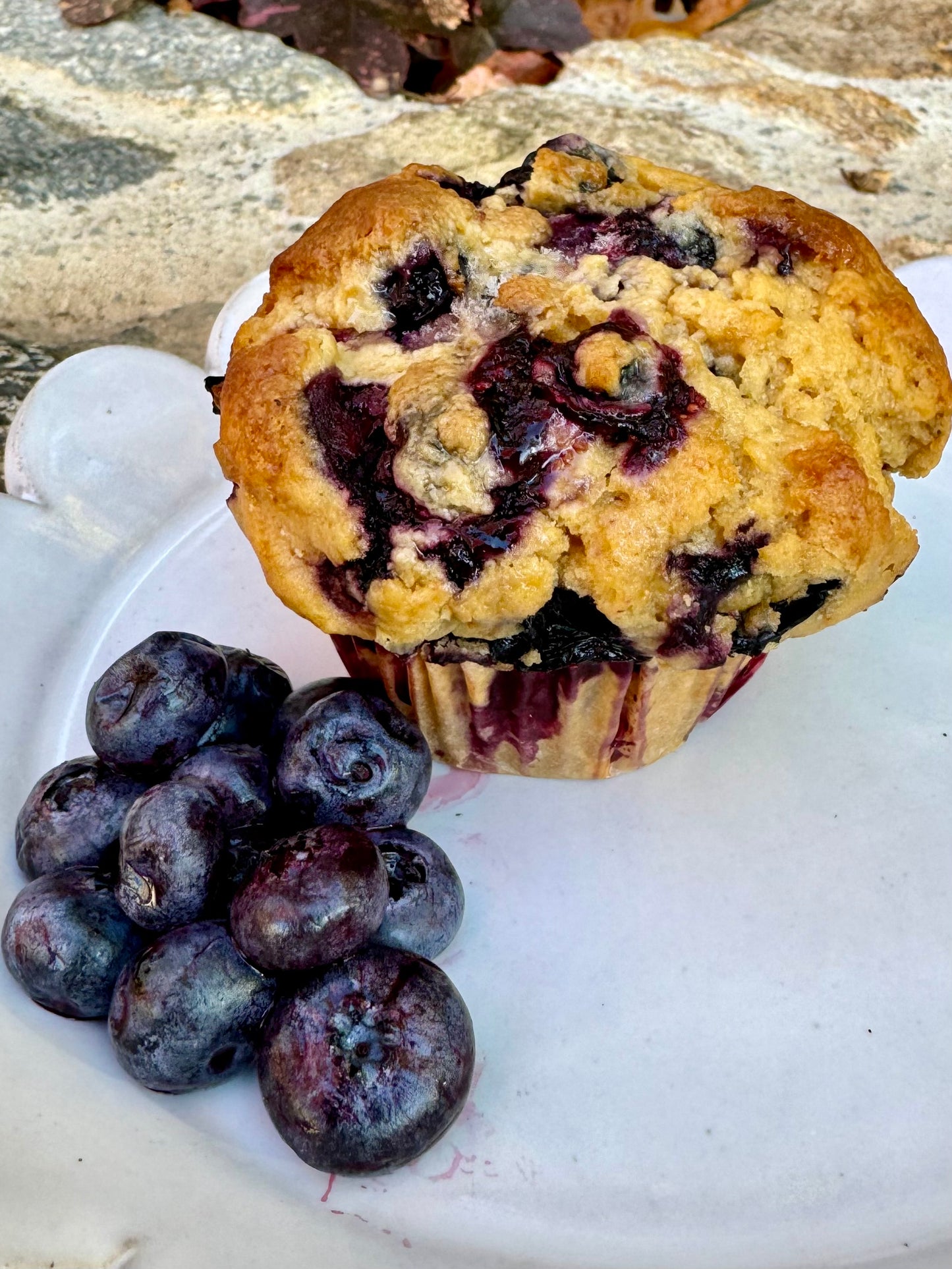 Blueberry Lemon Muffin