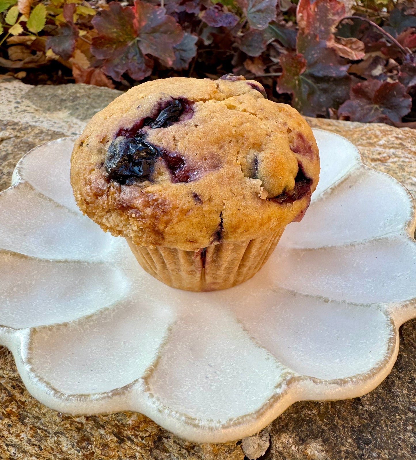 Gluten Free Blueberry Lemon Muffin