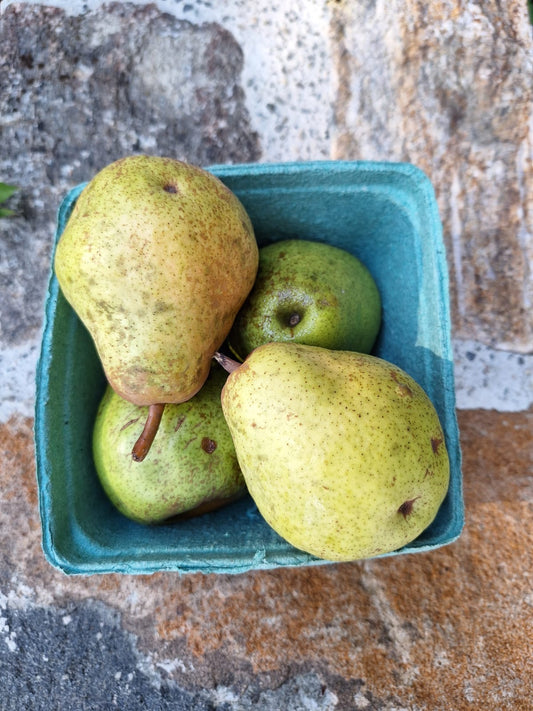 Pears