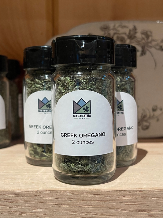 Greek Oregano