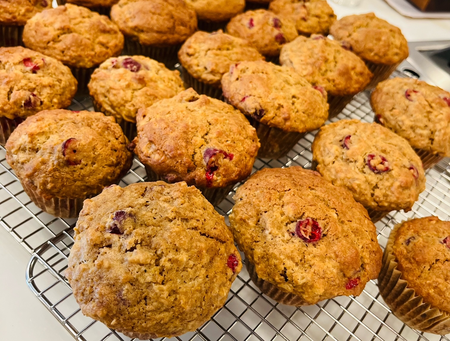 Gluten Free Cranberry Oatmeal Muffins