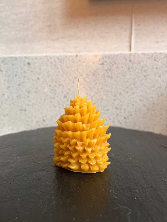 Beeswax Pinecone Candle