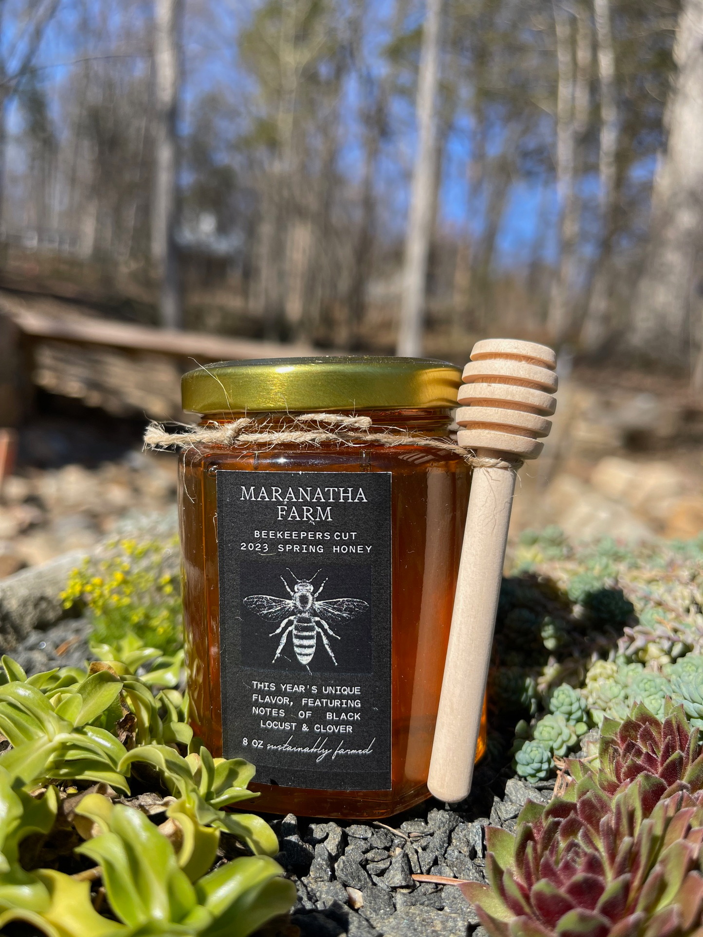 2023 BEEKEEPER'S CUT SPRING HONEY