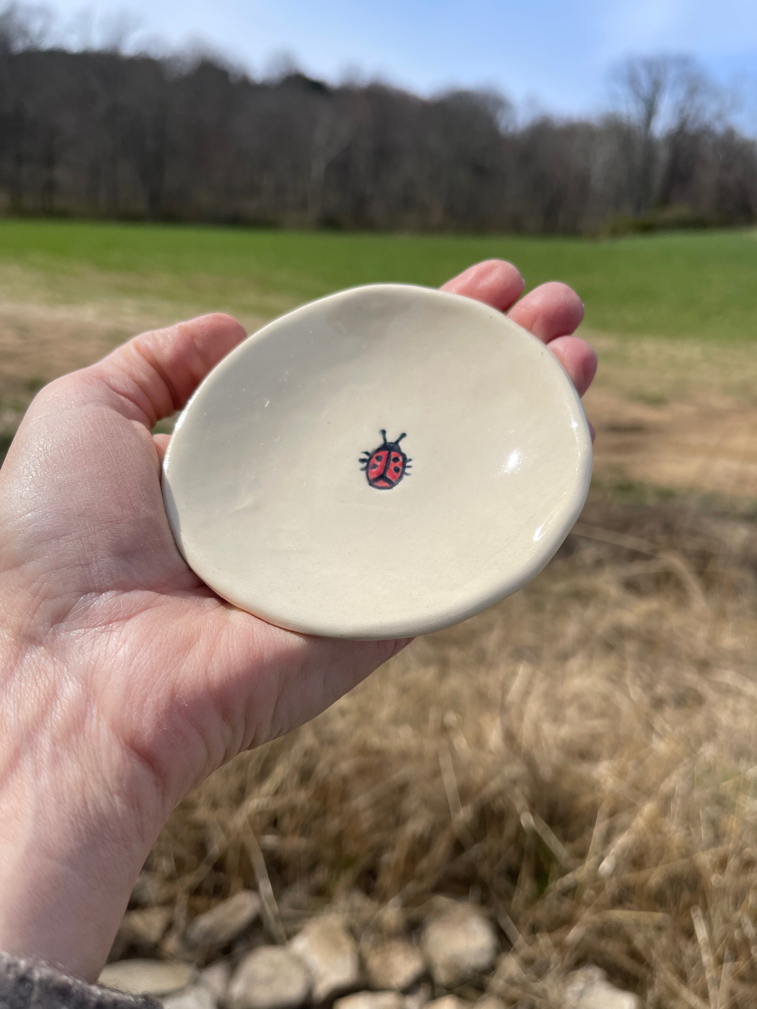 Ladybug Trinket Dish