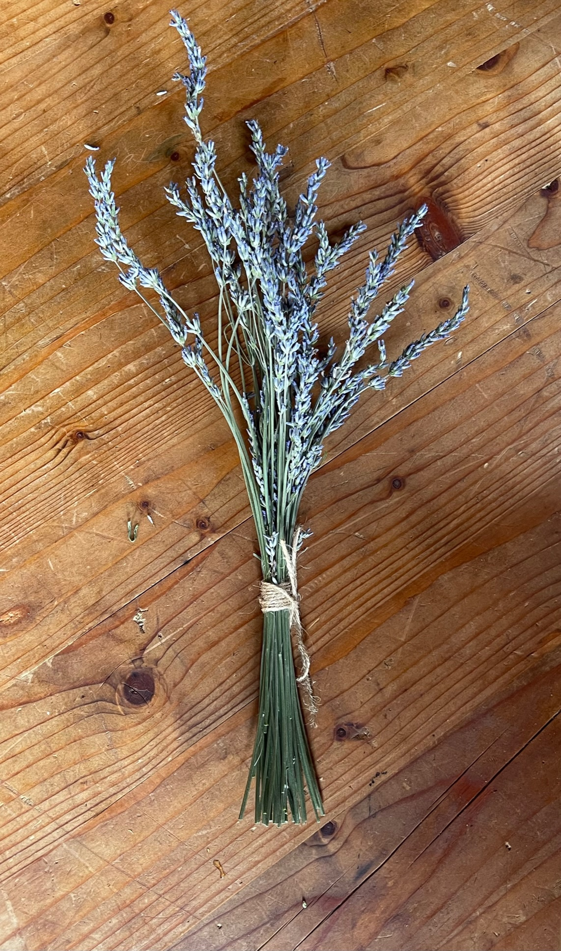 Lavender Bundle