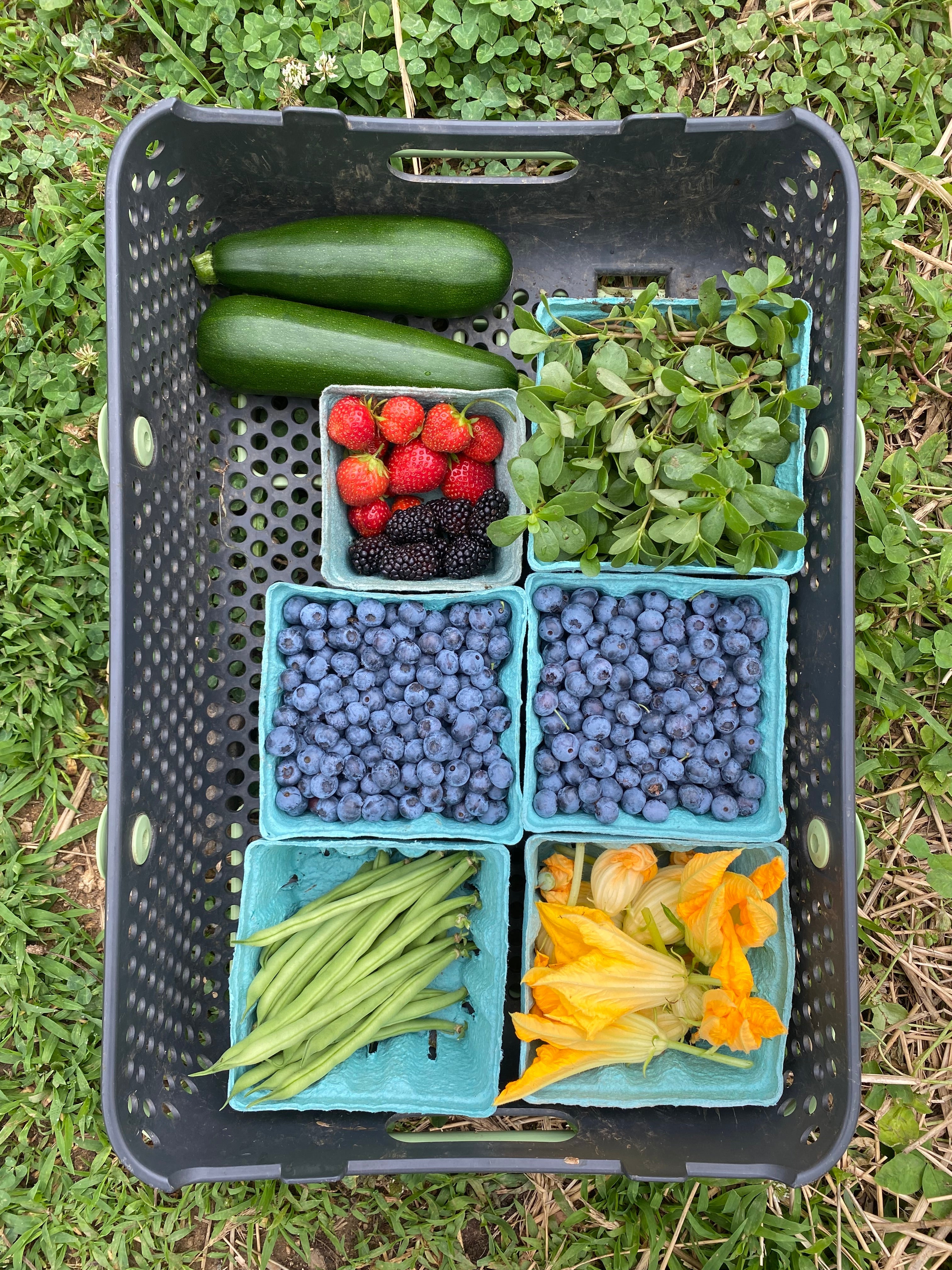 CSA produce packed in berry baskets