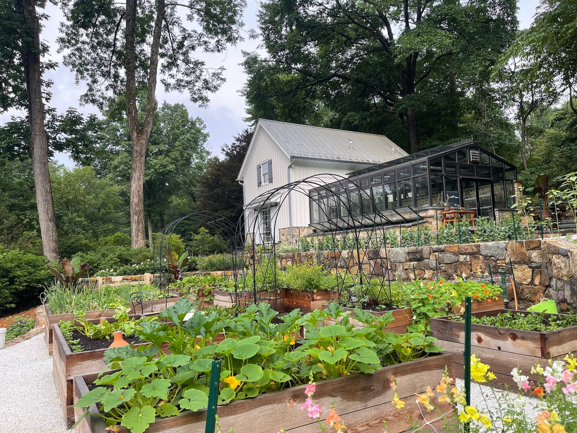 Panoramic view of Maranatha Farm fields